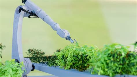 Premium Photo | Robot arm planting in glass house vegetable farm