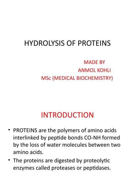 Hydrolysis of Proteins | PDF | Digestion | Stomach