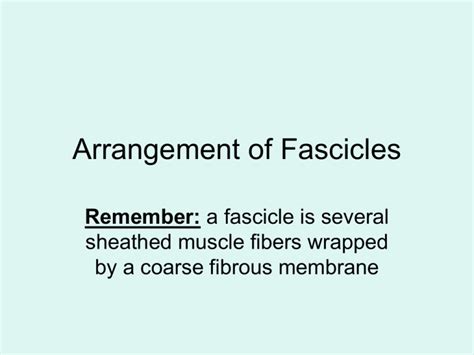 Arrangement of Fascicles