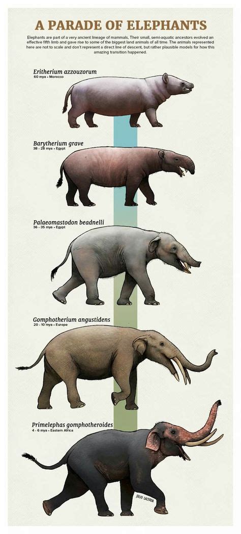 24 Megafauna Mammals ideas | megafauna, mammals, extinct animals