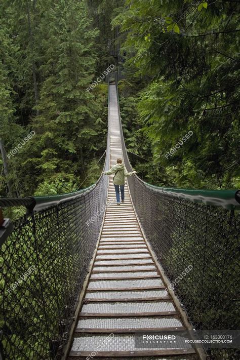 Lynn canyon suspension bridge - Stock Photos, Royalty Free Images | Focused