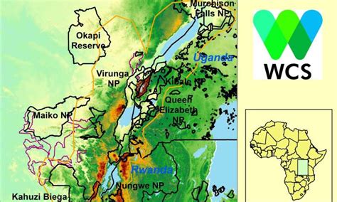 Study predicts wildlife of Africa's Albertine Rift will be threatened by climate change