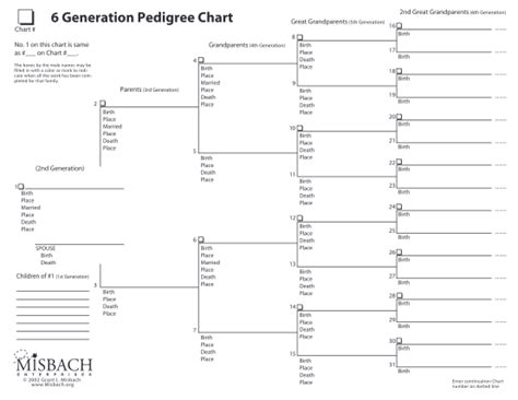 Pedigree Certificate Template