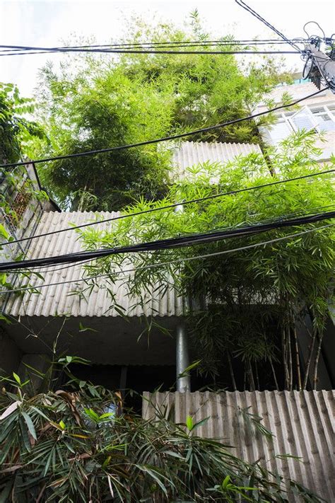 Gallery of Bamboo House / VTN Architects - 1 | Bamboo house, Roof garden, Pergola