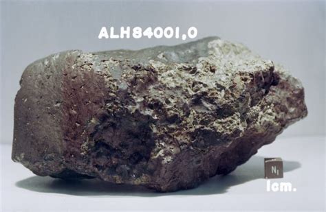 Intriguing Meteorite From Mars Reveals 'Huge Organic Diversity ...