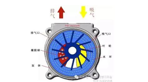 Water ring vacuum pump / liquid ring vacuum pump working principle demonstration - YZJ Industry ...