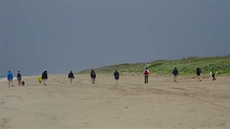 Volunteers participate in beach cleanup | FWS.gov