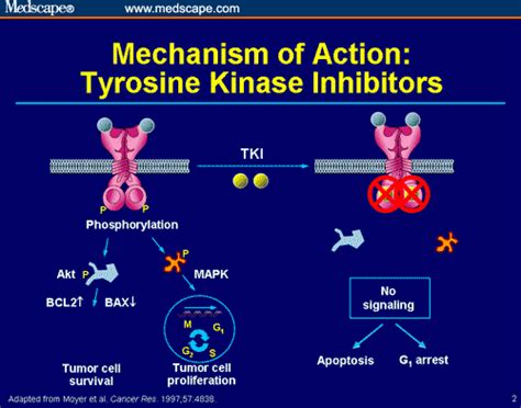 Adjuvant Therapy for HER2-Positive Breast Cancer