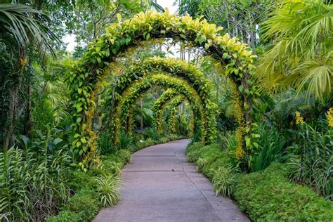 Free Photo | Footpath under a beautiful arch of flowers and plants.