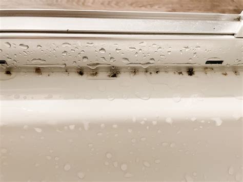 My Genius Hack To Remove Mold From Shower Caulk • Life by Melissa