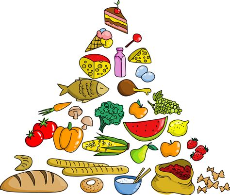 Food Pyramid Vector - Vector download