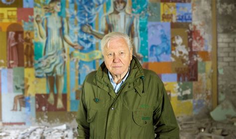 David Attenborough: A Life on Our Planet Review: A Plea to the Future ...