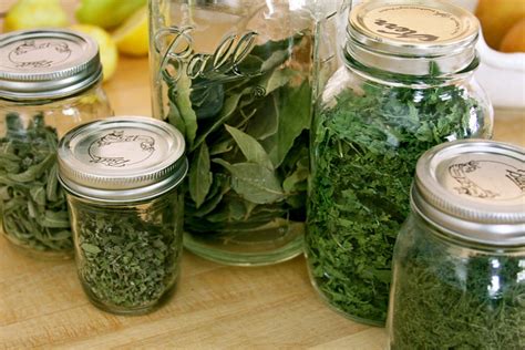 Quiet Corner:How To Dry and Store Your Garden Herbs - Quiet Corner