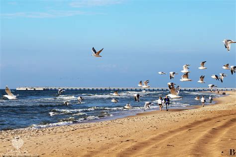 Palanga beach Palanga, Baltic Region, Lithuania, No Worries, Olds ...