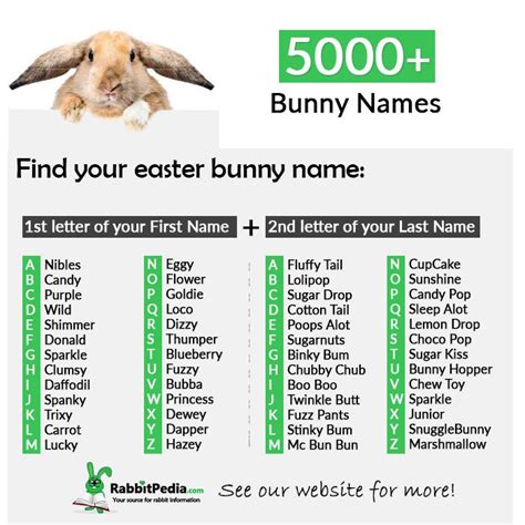 5000+ Most Popular Bunny Names (Top 250 Boy & Girl) - RabbitPedia.com ...