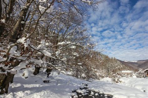 Ribaritsa Village and Beli Vit River, Winter Landscape, Bulgaria Stock ...