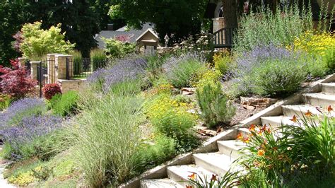 What Is Xeriscaping? (+ 6 Examples) - Wilson Exteriors