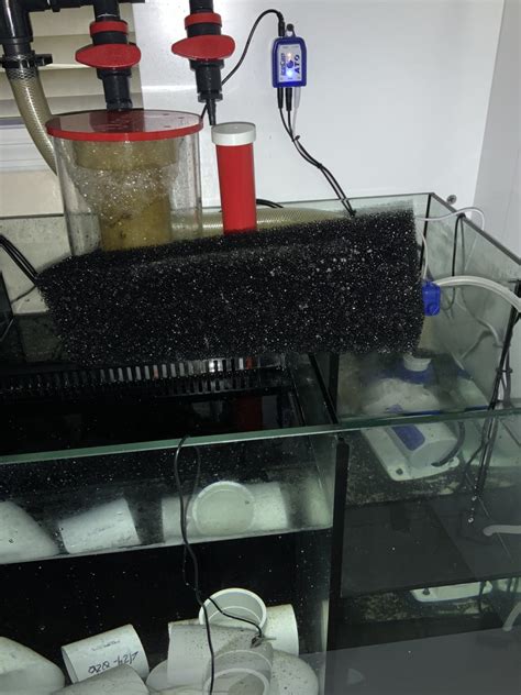 Waterbox reef pro setup question | REEF2REEF Saltwater and Reef Aquarium Forum