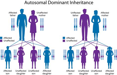 Genetics and Inheritance - NFED