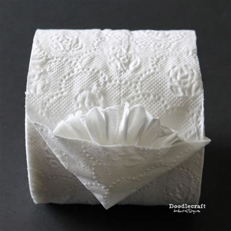 Fancy Toilet Paper!