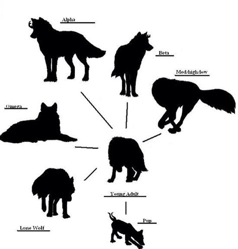 Pack ranks Wolf Pack Ranks, Wolf Ranks, Werewolf Stories, Werewolf Art ...