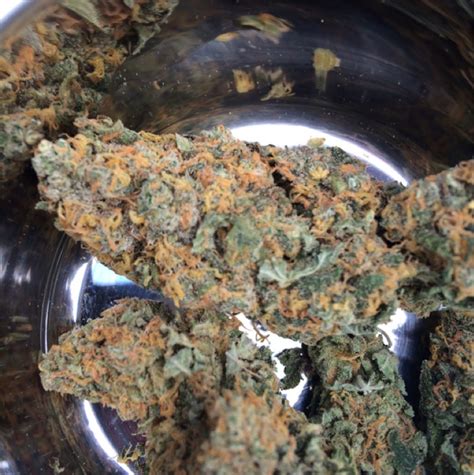 Photos of Strawberry Cheesecake Weed Strain Buds | Leafly