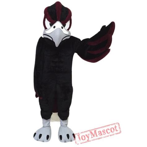 School Falcon Mascot Costume