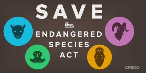 The United States is a worldwide model of stopping human-caused extinction due largely to the ...