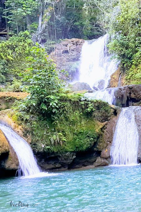 8 Adventurous Things to Do in St Elizabeth Jamaica | Adventurous things to do, Jamaica travel ...