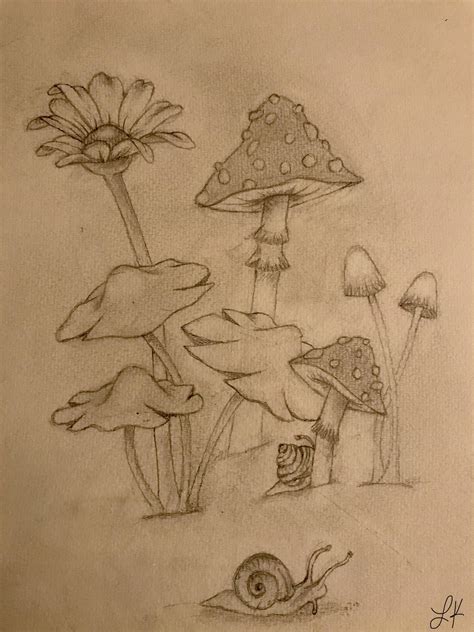 Mushroom patch🍄🐌 : r/wildart