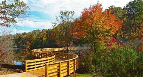 Places in Metro Atlanta Perfect for Enjoying the Fall Leaves - Atlanta Parent