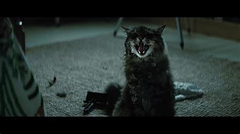 Pet Sematary (2019) | Pandemonium of Absence