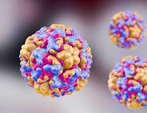 Rhinovirus - Dr.Thind