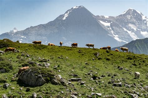 HIKING IN INTERLAKEN (& NEARBY): 10 BEST ROUTES