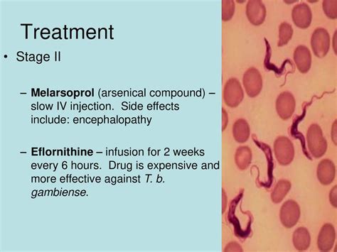 Trypanosomiasis Jane Ngai – Simon Zappia - ppt download