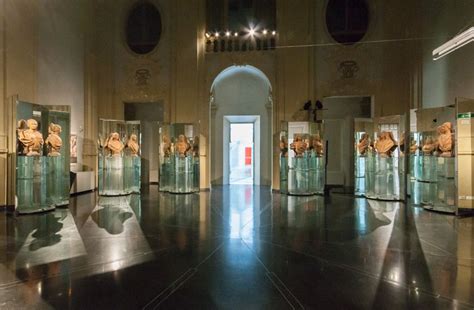 Museum of the History of Bologna Palazzo Pepoli | Exhibition design ...