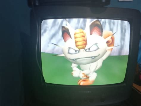 Meowth Is angry! : r/pokemon