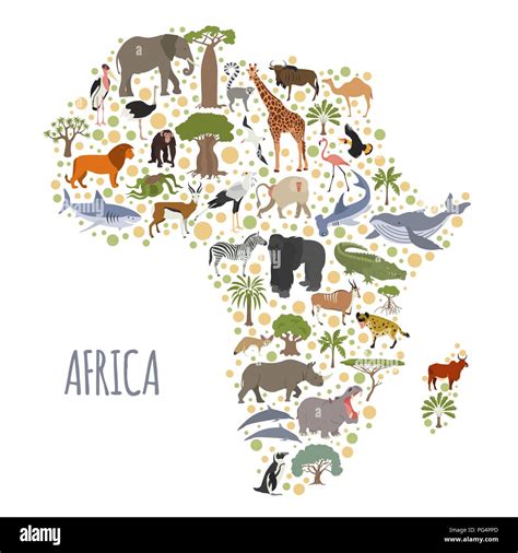 Native Fauna Of Africa