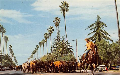 Chowchilla, California, CA Postcards | OldPostcards.com