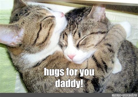 Create meme "cat hugs, hug photos pictures, the cat and the cat hug" - Pictures - Meme-arsenal.com