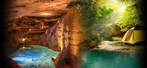 Discover Cumberland Caverns - Things To Do In Tennessee | Cumberland caverns, Places to see ...