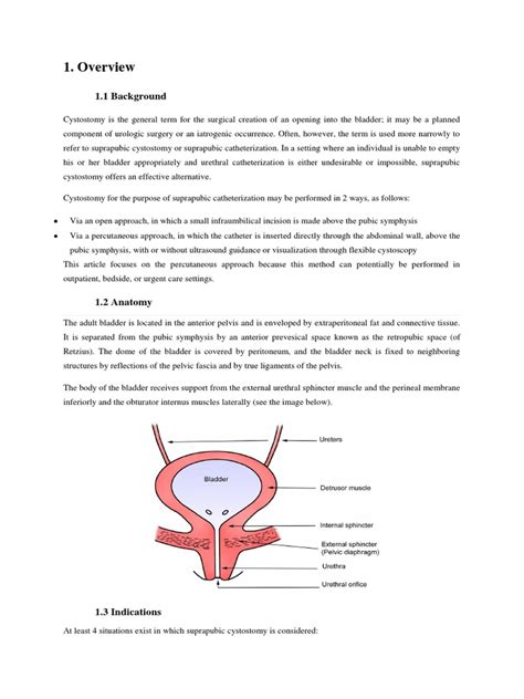 A Comprehensive Guide to Suprapubic Cystostomy: Indications, Techniques, and Post-Operative Care ...