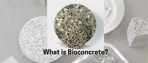 What is Bioconcrete? - Civil Engineering Forum