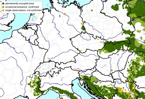 Wolf population in central Europe (Source: KORA / LCIE). The map shows ...