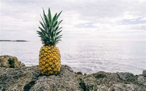 Pineapple HD Wallpapers - Wallpaper Cave