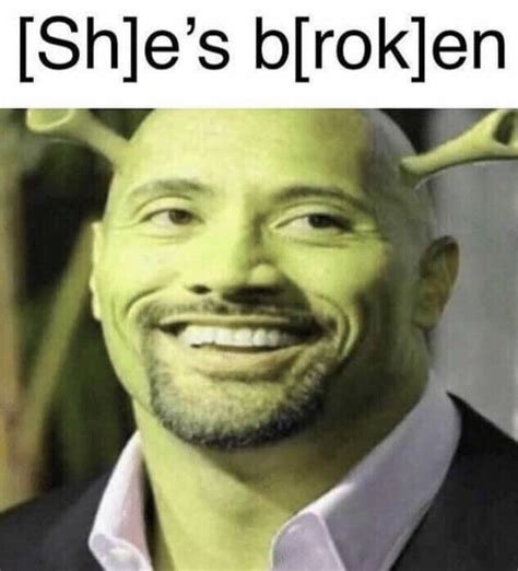 Shrok is broken : r/memes