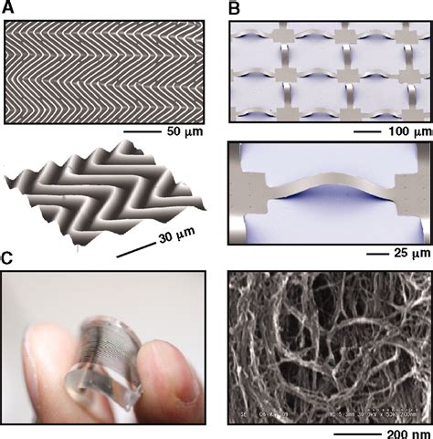 Materials and Mechanics for Stretchable Electronics | Science