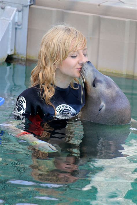 So sweet! Sea Lion Encounters, Blue Lagoon Island, Bahamas | Dolphin encounters, Blue lagoon ...