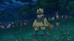 Zeraora (M21) - Bulbapedia, the community-driven Pokémon encyclopedia