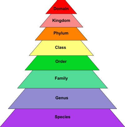 Classification - Home